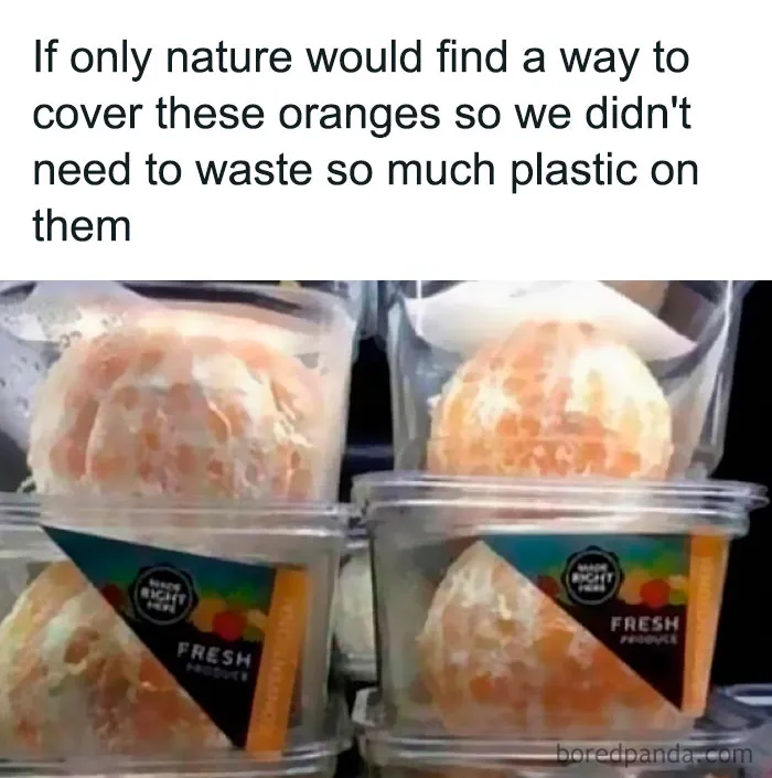 ‘The Daily Laughs’: 50 Ridiculously Good Memes To Improve Your Day