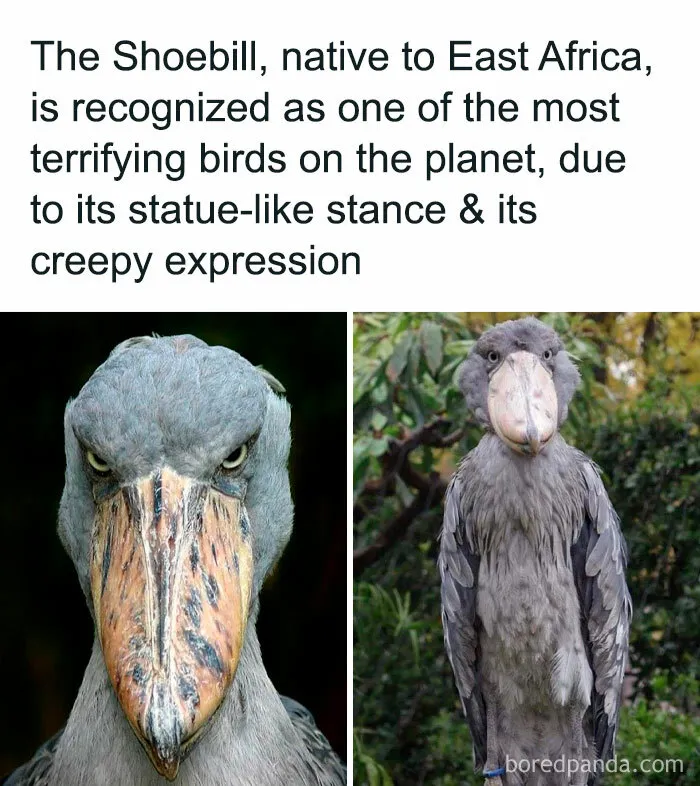 50 Creepy Facts About The World We Live In That Prove Reality Is Scarier Than Fiction