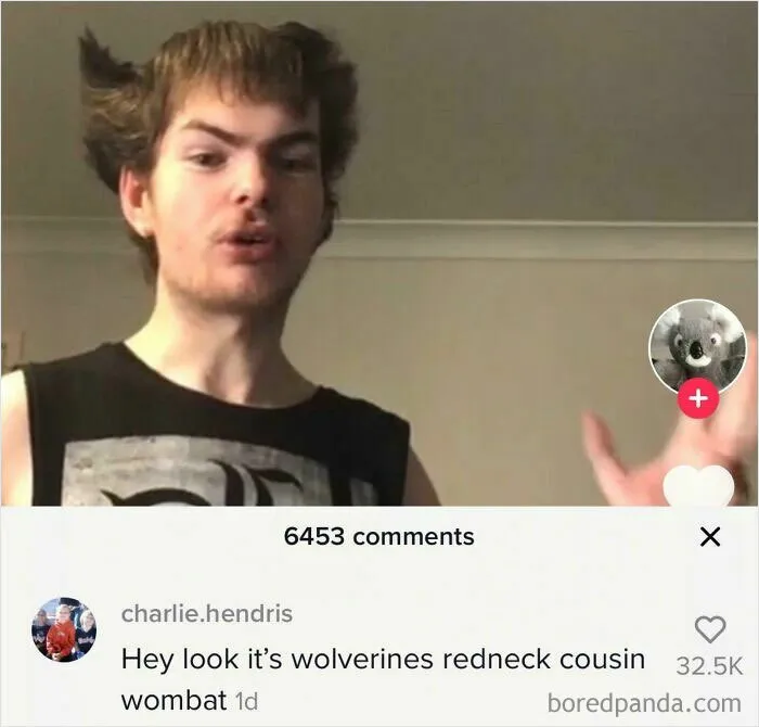 I Can’t Lie. The Comment Sections Always Make Me Laugh