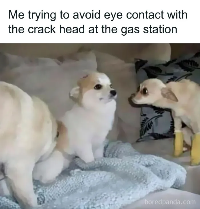 Over 500K People Like Scrolling This Meme Page And These Are 50 Of The Best Memes They Shared (New Pics)