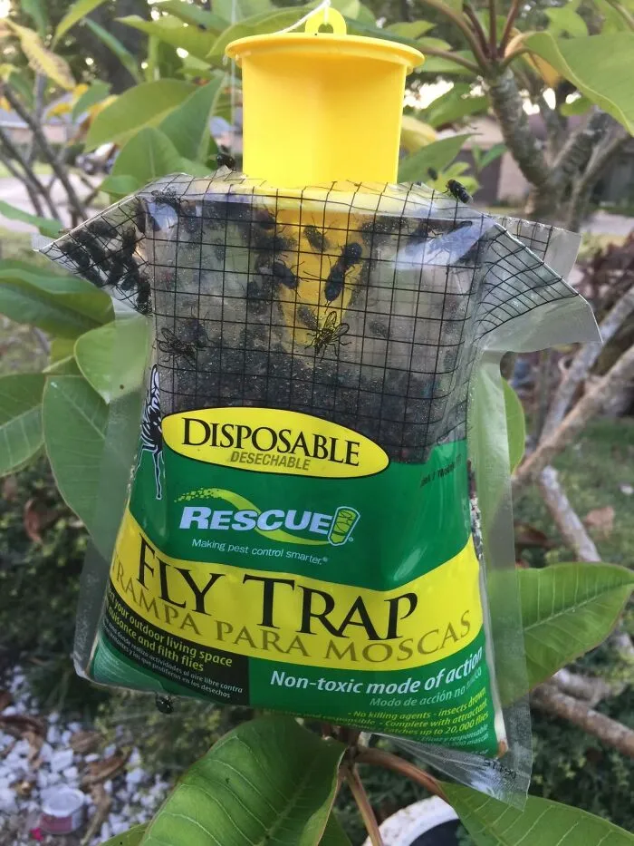 Turn Your Backyard Into A Very Unwelcome Party For Flies With This <a Style="Display:inline;" Href="Https://Www.amazon.com/Dp/B07dd28f84?psc=1&pd_rd_i=b07dd28f84&pd_rd_w=7app3&content-ID=amzn1.sym.f2f1cf8f-Cab4-44dc-82ba-0ca811fb90cc&pf_rd_p=f2f1cf8f-Cab4-44dc-82ba-0ca811fb90cc&pf_rd_r=ep9nz297r5qkammseyqw&pd_rd_wg=pkuuz&pd_rd_r=5c47e2a9-Dd02-4802-8818-B830574d8dec&s=hi&sp_csd=d2lkz2v0tmftzt1zcf9kzxrhawxfdghlbwf0awm&linkcode=ll1&tag=bpowl-20&linkid=509eee63a03a8357308dc5c851d8f871&language=en_us&ref_=as_li_ss_tl" Target="_blank"><span Style="Font: Inherit; Color: #d74b1f;"> Disposable Hanging Fly Trap </Span>, Which Is Basically A One-Way Ticket To Their Doom That You Don't Even Have To Touch