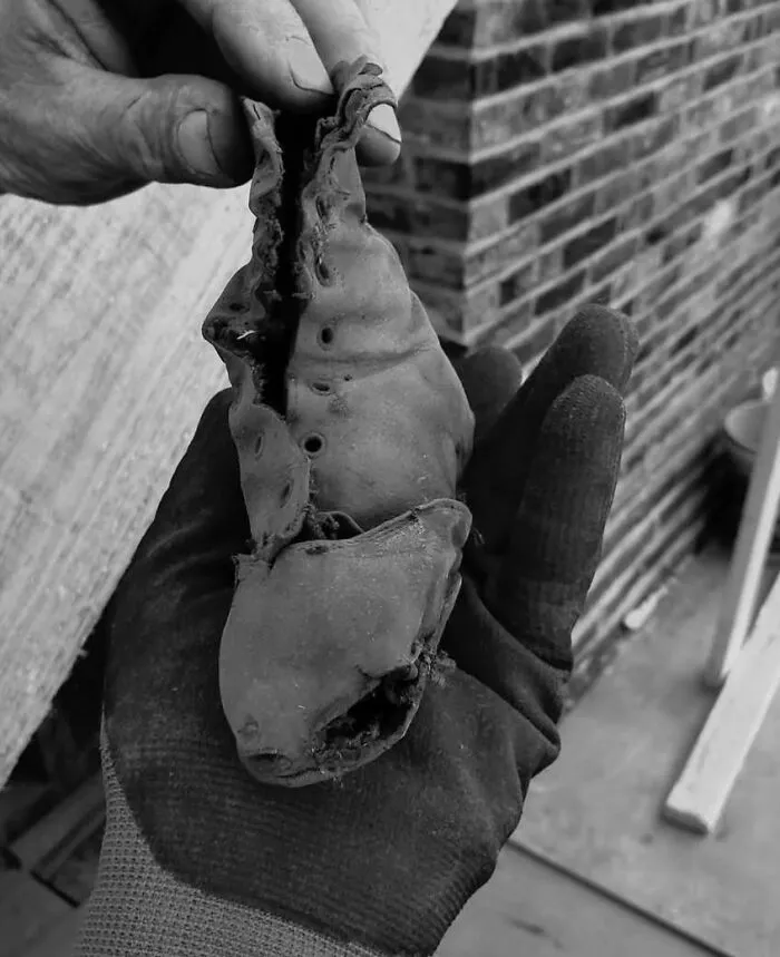 Este zapato viejísimo se encontró en una pared cerca de la chimenea. ¿Sabes por qué escondían zapatos en las paredes?