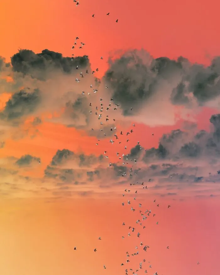 Good Visual Lies: 40 Creative Photo Edits That Make You Question Reality By This Swedish Artist