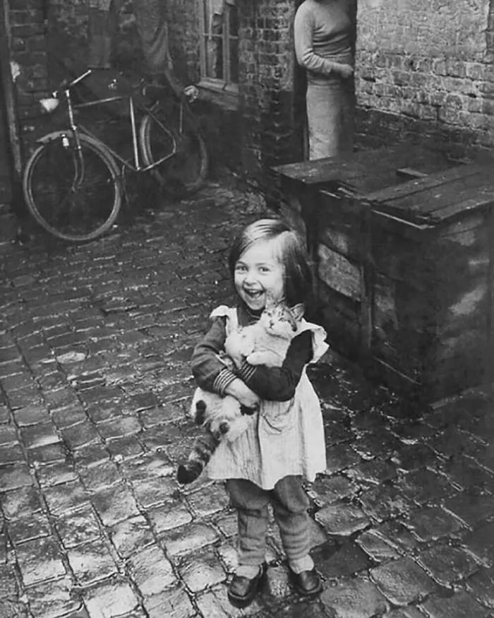 47 Adorable Vintage Photos Showcasing The Timeless Bond Between Kids And Cats, As Collected By This Page
