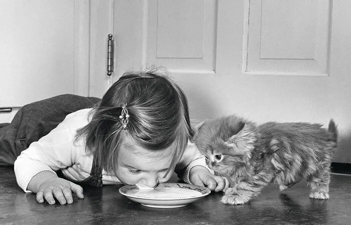 47 Adorable Vintage Photos Showcasing The Timeless Bond Between Kids And Cats, As Collected By This Page