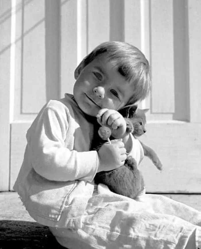 47 Adorable Vintage Photos Showcasing The Timeless Bond Between Kids And Cats, As Collected By This Page