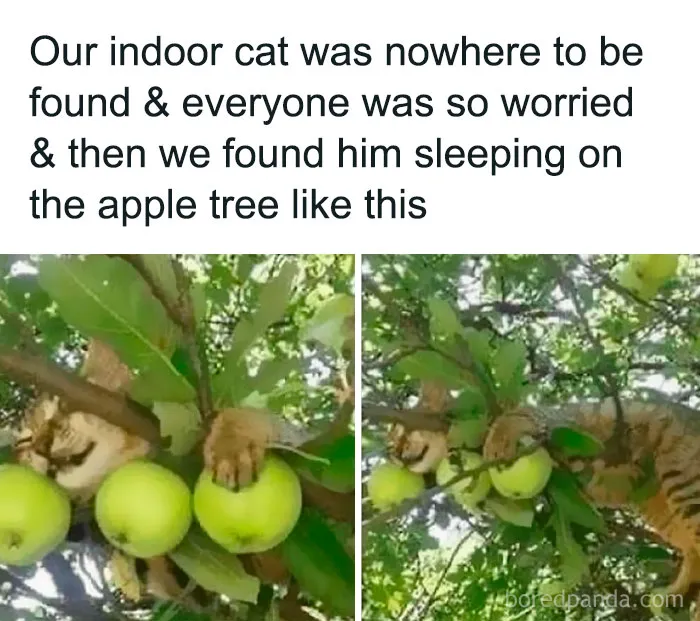 Over 500K People Like Scrolling This Meme Page And These Are 50 Of The Best Memes They Shared (New Pics)