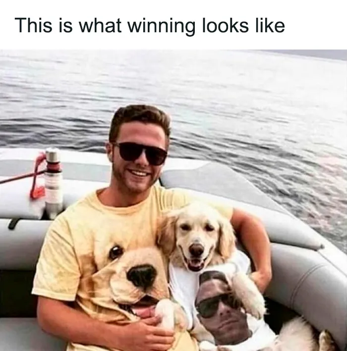 50 Sarcastic Memes That Couldn’t Care Less (New Pics)