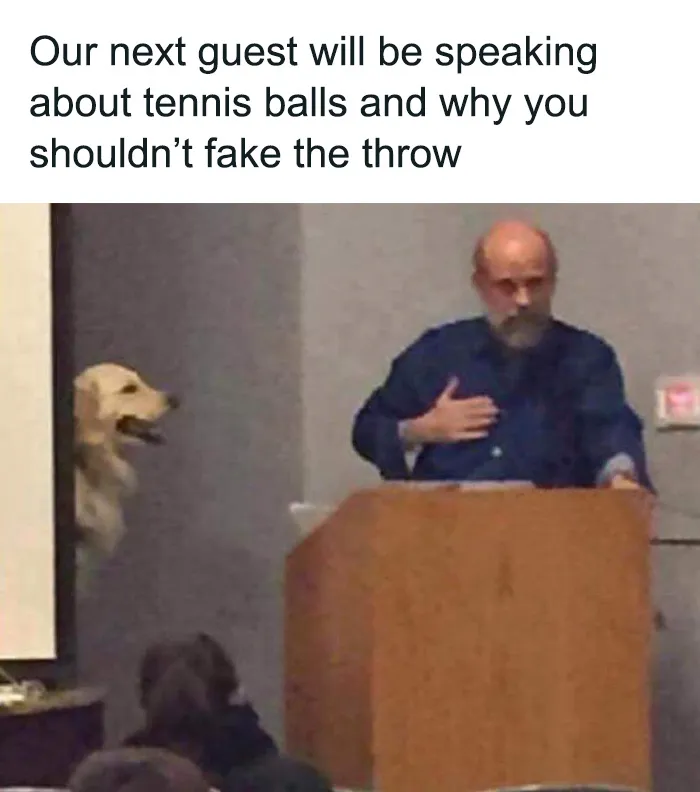 50 Sarcastic Memes That Couldn’t Care Less (New Pics)
