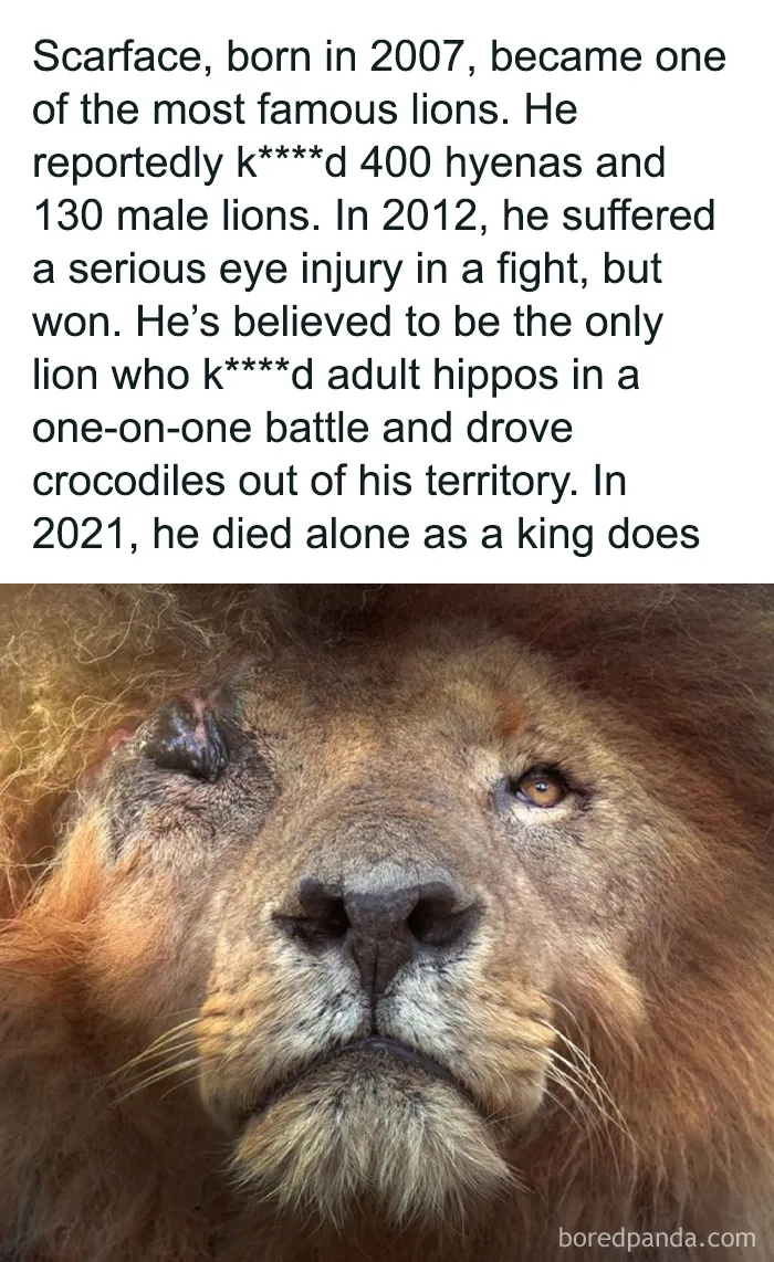 50 Interesting Pics To Make Your Day Better Or Teach You Something New