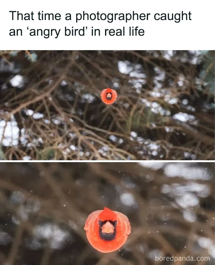 50 Interesting Pics To Make Your Day Better Or Teach You Something New