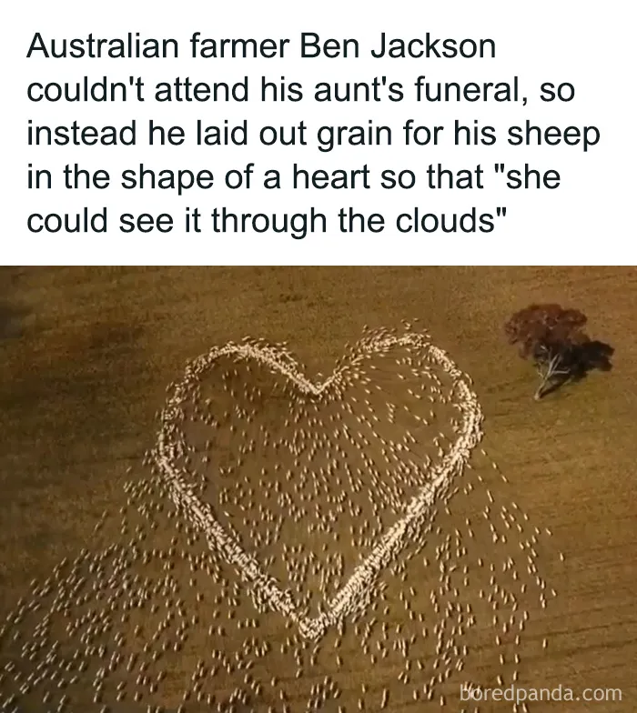 50 Interesting Pics To Make Your Day Better Or Teach You Something New