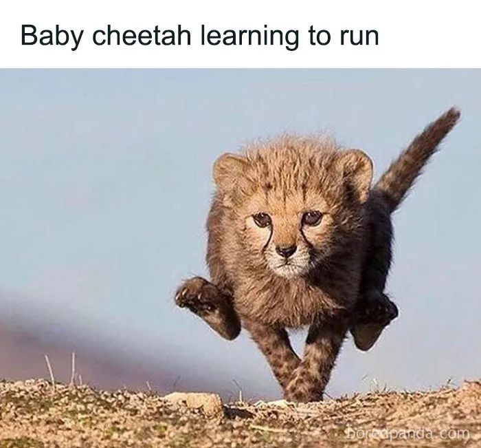 50 Interesting Pics To Make Your Day Better Or Teach You Something New