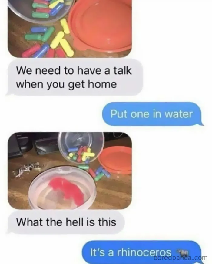 Memes-The-Daily-Laughs