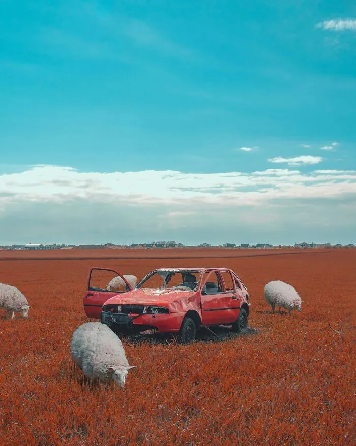 Good Visual Lies: 40 Creative Photo Edits That Make You Question Reality By This Swedish Artist