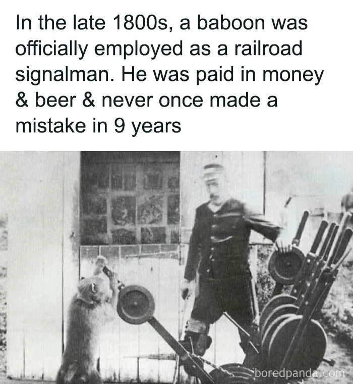 50 Creepy Facts About The World We Live In That Prove Reality Is Scarier Than Fiction
