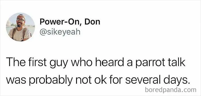 50 Memes That Might Make You Laugh So Hard You Forget What You Were Sad About