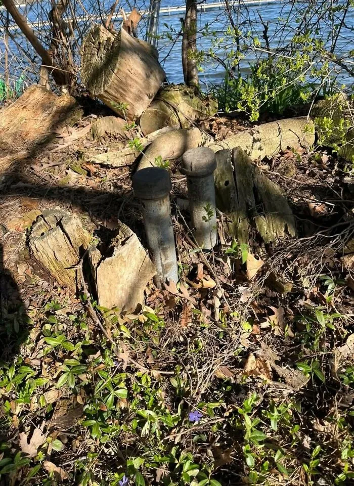Old rusted pipes and broken wood debris partially buried in overgrown plants near a water body in a home with a forgotten past.