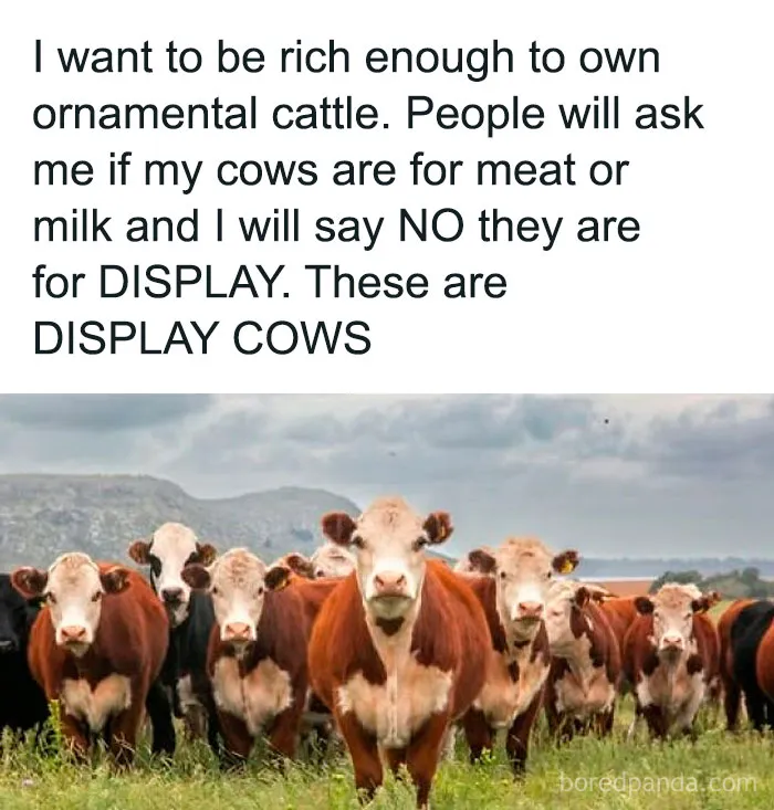 Over 500K People Like Scrolling This Meme Page And These Are 50 Of The Best Memes They Shared (New Pics)