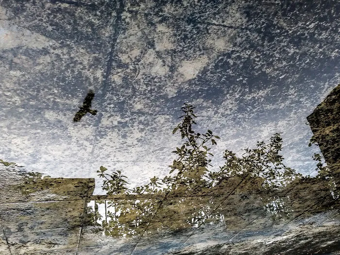 The Poetry Of The Ordinary: My 10 Photos Of Everyday Beauty