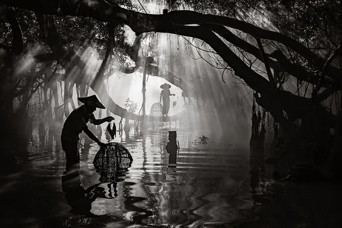 "Hands Of Time, Net Of Light" By Chester Ng (United States)