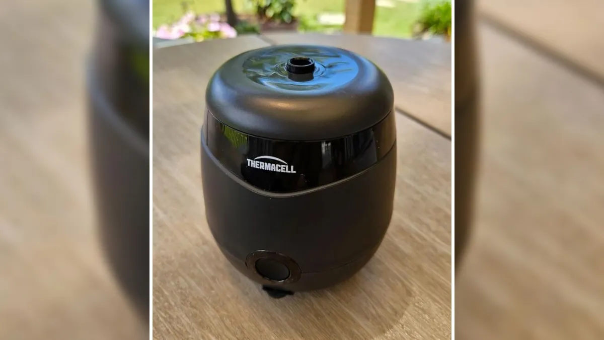 Everyone Wants These 50 Things From Amazon, And Honestly, Same 