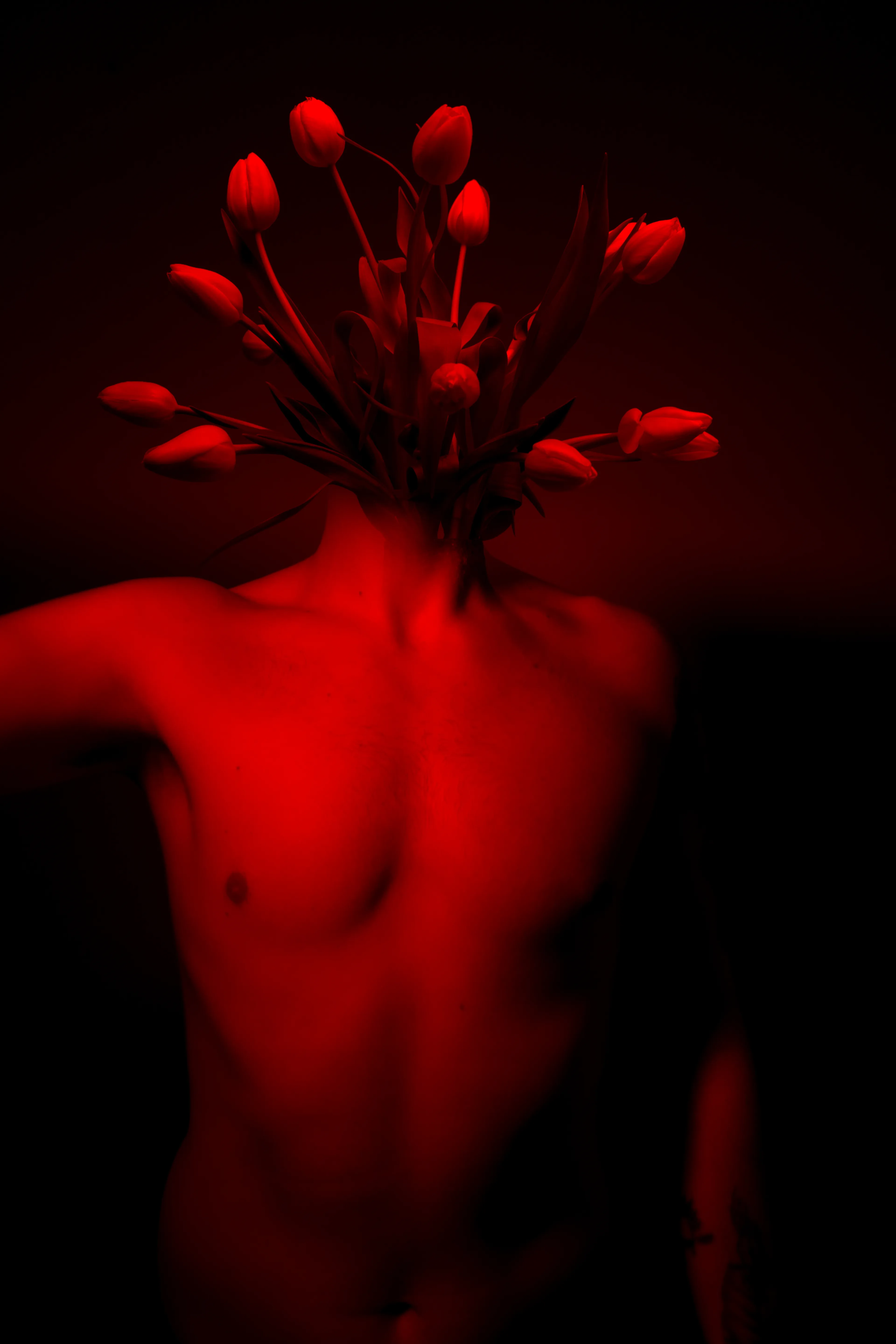 Can You Guess How This Photograph Was Taken?