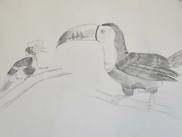 Here's My Bird Portrait Collection That I Drew (12 Pics)