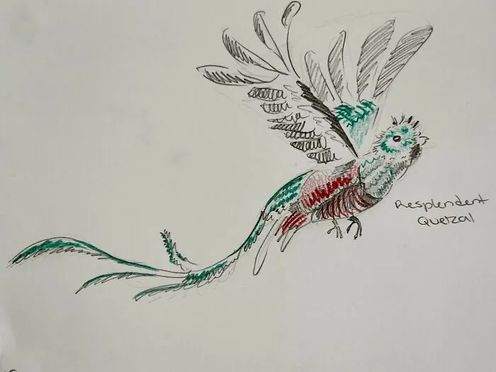 Here's My Bird Portrait Collection That I Drew (12 Pics)