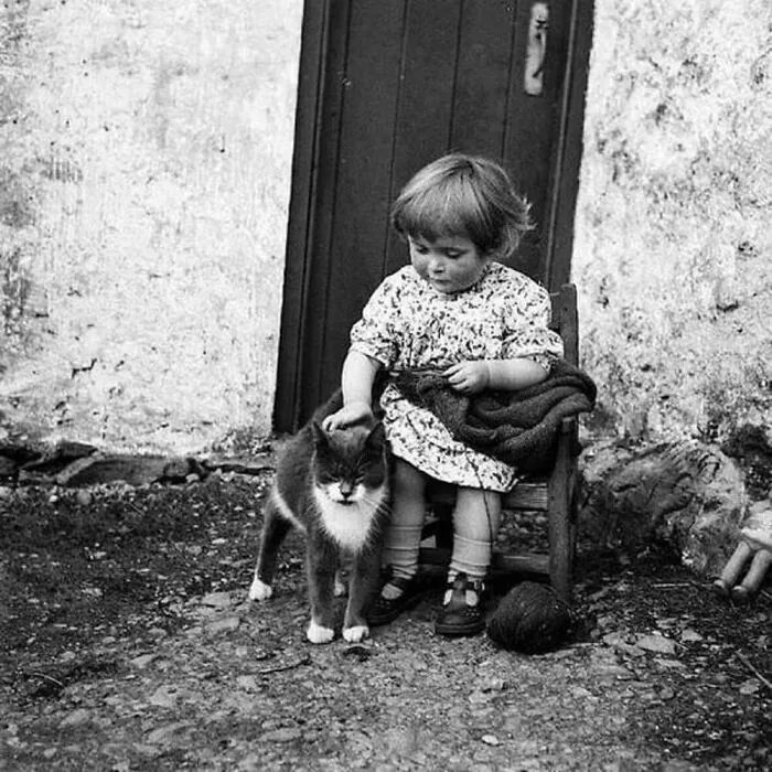 47 Adorable Vintage Photos Showcasing The Timeless Bond Between Kids And Cats, As Collected By This Page