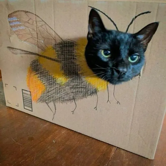 50 Hilarious Moments Of Pets Being All Drama, No Solutions (New Pics)
