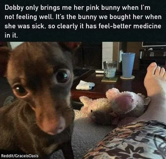 50 Unhinged Tumblr Posts That Are Just The Right Kind Of Chaotic (New Pics)