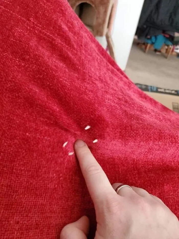 50 Hilarious Moments Of Pets Being All Drama, No Solutions (New Pics)