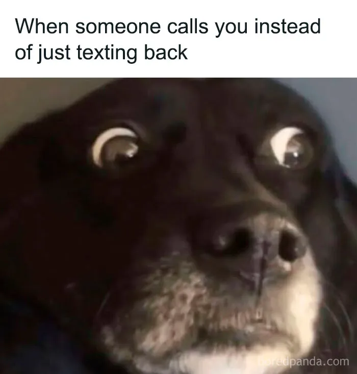 Over 500K People Like Scrolling This Meme Page And These Are 50 Of The Best Memes They Shared (New Pics)
