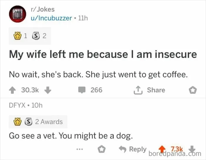 Who’s A Good Boy?