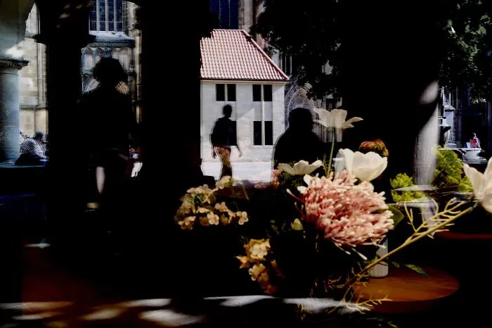 Finalist: "Through The Looking-Glass" By Isabelle Coordes (Germany)