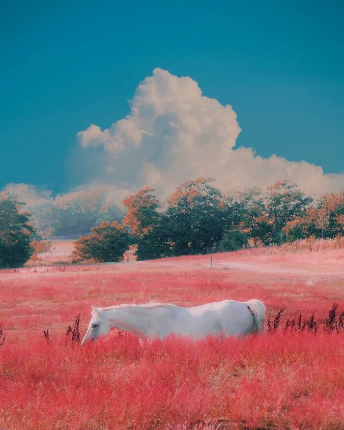 Good Visual Lies: 40 Creative Photo Edits That Make You Question Reality By This Swedish Artist