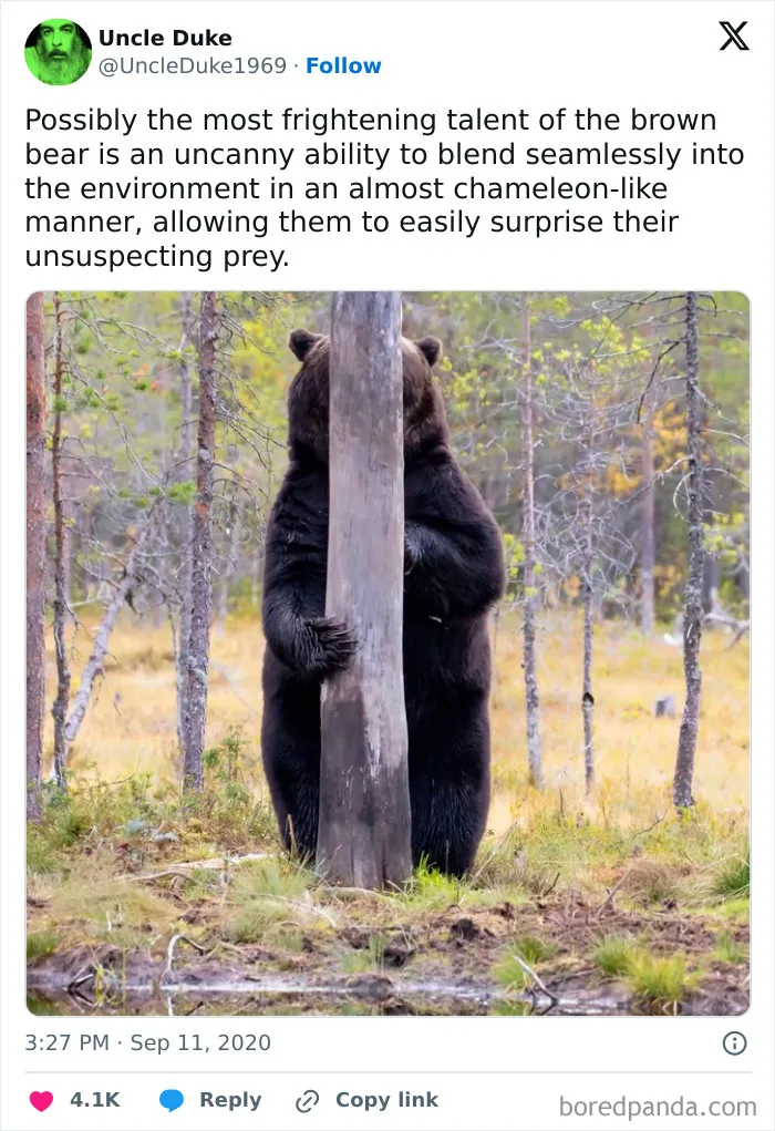 A Hidden Talent