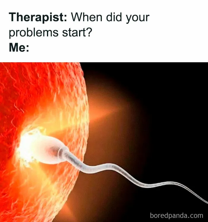 Meme from a Facebook page about hilarious memes showing a sperm meeting an egg with therapist text joke.