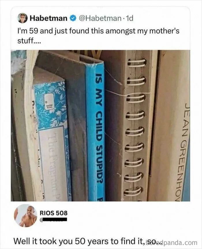 Insults Are Best Served Cold