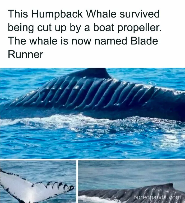 50 Creepy Facts About The World We Live In That Prove Reality Is Scarier Than Fiction