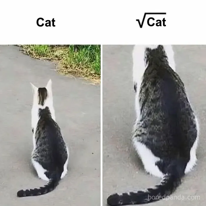 Over 500K People Like Scrolling This Meme Page And These Are 50 Of The Best Memes They Shared (New Pics)