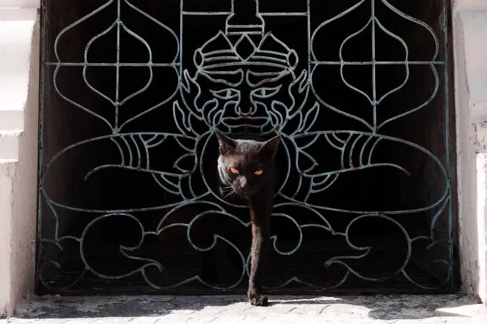 Finalist: "Rahu" By Julachart Pleansanit (Thailand)