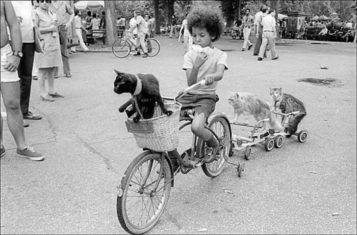 47 Adorable Vintage Photos Showcasing The Timeless Bond Between Kids And Cats, As Collected By This Page