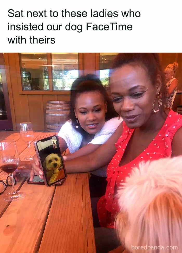 50 Memes That Might Make You Laugh So Hard You Forget What You Were Sad About