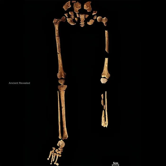 Incredible Ancient Discoveries That Might Change How We See History (New Pics)