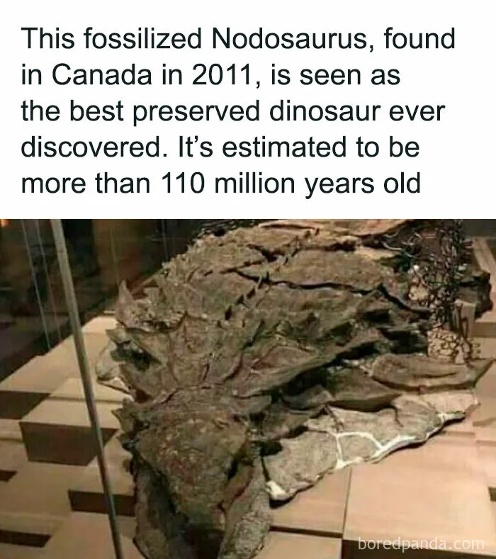 50 Creepy Facts About The World We Live In That Prove Reality Is Scarier Than Fiction