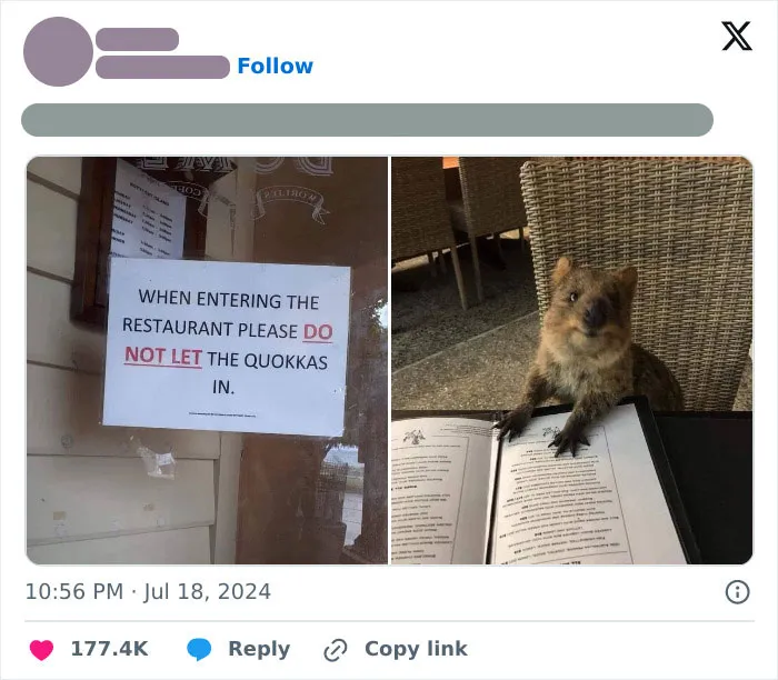 Come On, He Just Wants To Eat