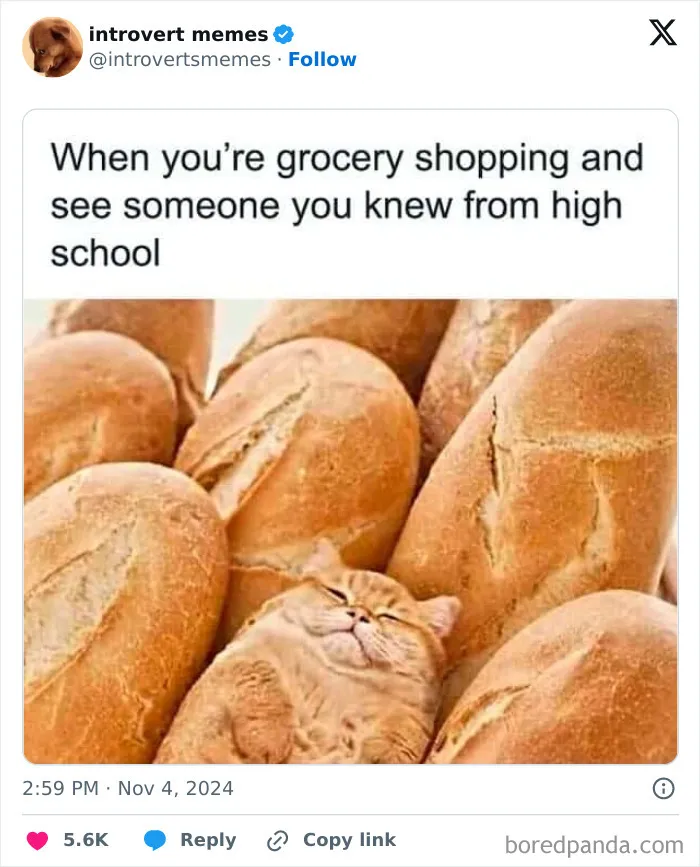 Well, that escalated quickly