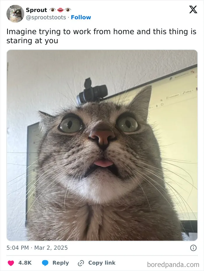 Terrifying